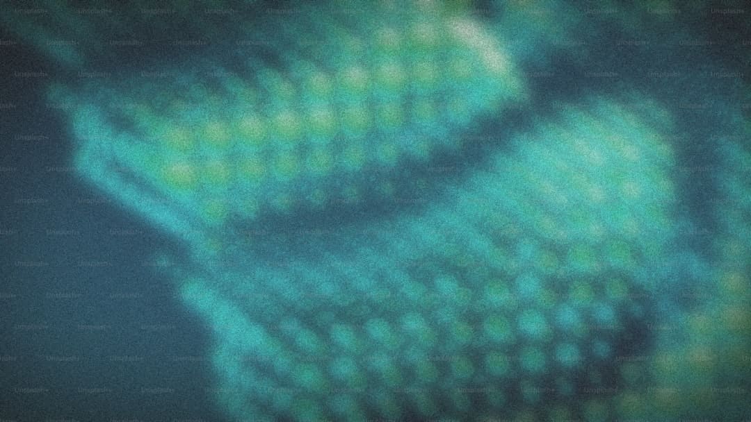 王励勤第一次受邀观礼阅兵 体育界共襄盛举
